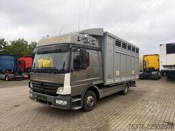 MERCEDES-BENZ Atego 823