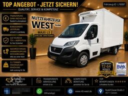 FIAT Ducato 2,3 HDI Thermoking V300 Tiefkühlung-30C