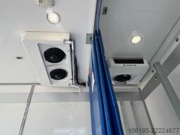FIAT Ducato 2,3 HDI Thermoking V300 Tiefkühlung-30C