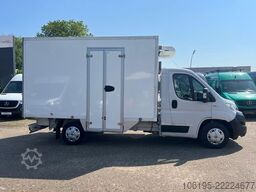 FIAT Ducato 2,3 HDI Thermoking V300 Tiefkühlung-30C