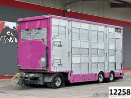 PEZZIOLI 3. Stock  Aggregat/ Tränke/Hubdach/Rampe/Lift