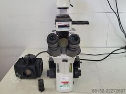 Motic AE31