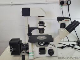 Motic AE31