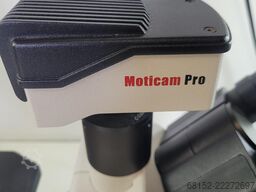 Motic AE31