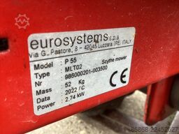EUROSYSTEMS P55