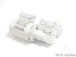 INDUR Antriebstechnik DG80-40 Motor SN:994461/9 + A-31 / 25W Getriebe i = 330