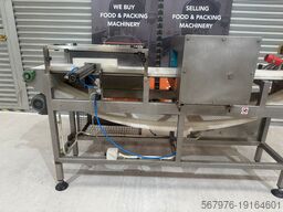 Loma IQ Metal Detector System