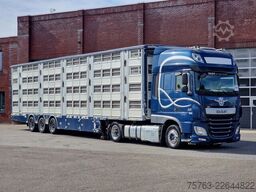 Pezzaioli + Daf XF - 3/4 deck livestock - 134.8m2 - Water...