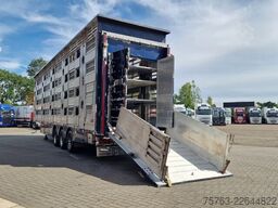 Pezzaioli + Daf XF - 3/4 deck livestock - 134.8m2 - Water...
