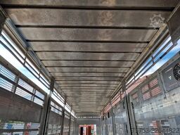 Pezzaioli + Daf XF - 3/4 deck livestock - 134.8m2 - Water...