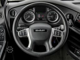 DAF XF 480 FT SSC + MX-BREAK + 545l TANK Klima ZV