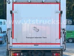 DAF LF 280 4x2 Köstner 1.Stock Aufbau