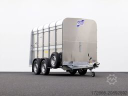 Ifor Williams TA5 | 10x6 311X156X183CM VIEHANHÄNGER | 2X LÜFTUNG