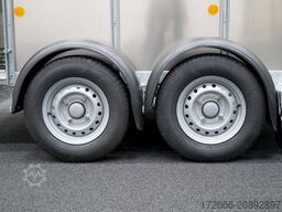 Ifor Williams TA5 | 8x6 | DOPPELSTOCK 241X156X183CM VIEHANHÄNGER | 2X LÜFTUNG