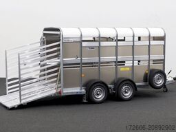 Ifor Williams TA5 HD | 12x6 | RAMPE-/TÜR-KOMBI 372X156X183CM VIEHANHÄNGER | 2X LÜFTUNG