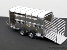 Ifor Williams TA5 HD | 12x6 | RAMPE-/TÜR-KOMBI 372X156X183CM VIEHANHÄNGER | 2X LÜFTUNG