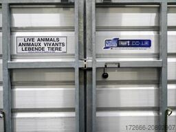 Ifor Williams TA510 | 10x6 | RAMPE-/TÜR-KOMBI 311X178X183CM VIEHANHÄNGER | 2X LÜFTUNG