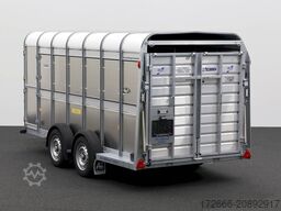 Ifor Williams TA510 | 14x6 | RAMPE-/TÜR-KOMBI 434X178X183CM VIEHANHÄNGER | 2X LÜFTUNG