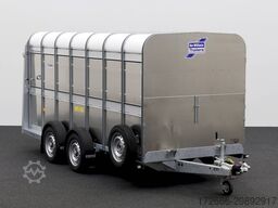 Ifor Williams TA510 | 14x6 | RAMPE-/TÜR-KOMBI 434X178X183CM VIEHANHÄNGER | 2X LÜFTUNG