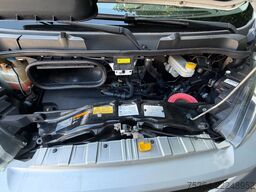 FIAT Ducato 3.0 CNG Erdgas 9 Sitze Motor Defekt!!