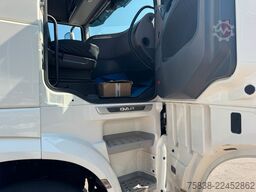 DAF XF 480*Palfinger Kran*Lift/Lenkachse*394 TKM*