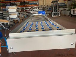 AMI Fördertechnik Rollenbahn/Arbeitstisch