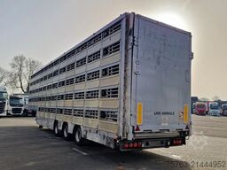 Pezzaioli Livestock 5 deck - Water & Ventilation - Loafli...