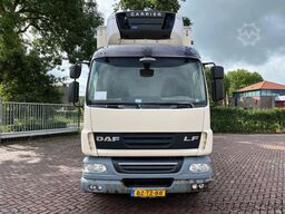 DAF LF 55 FAN