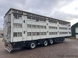 Pezzaioli 1/2/3 Livestock Type2 ultra light