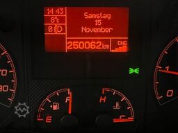 FIAT Ducato 3.0 Natural Power/CNG/Benzin 9 Sitze Pdc