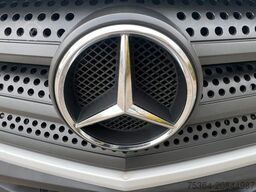 MERCEDES-BENZ Sprinter 314 BlueTEC 9Sitze+Rollstuhllift Klima
