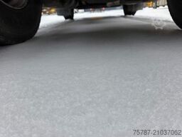 DAF XF 480 SC, ZF Intarder, Kühlschrank, ZV