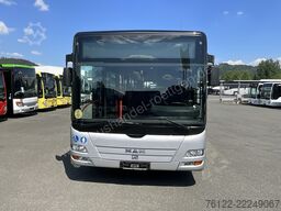 MAN A 26 Lions City LL