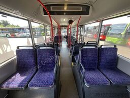 MAN A 26 Lions City LL