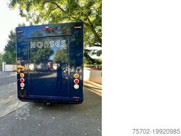 Renault Master 1-2 Pferde Hengstversion