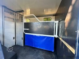 Renault Master 1-2 Pferde Hengstversion