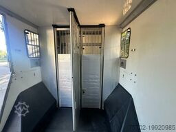 Renault Master 1-2 Pferde Hengstversion