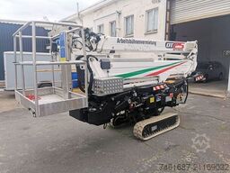 Cela DT25S