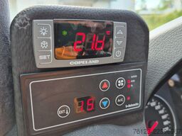 MERCEDES-BENZ 519 und 517 Glasdach XXL  20 Sitze Lord Exclusiv