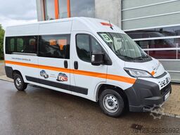 FIAT Ducato 9 Sitzer Mobility Airlineboden Rolli