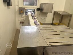 WEIGHING AND BAGGING SYSTEM