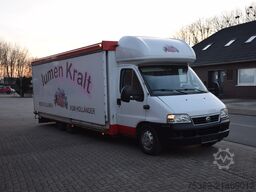 Fiat 2,8 TDI Blumen Verkaufswagen Heizung Klima