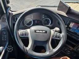 DAF XF 450 SSC, Vollspoiler, ZF Intarder