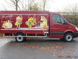 MERCEDES-BENZ Sprinter 310  Cold Car -33°C