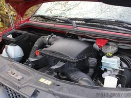 MERCEDES-BENZ Sprinter 310  Cold Car -33°C