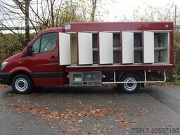 MERCEDES-BENZ Sprinter 310 Cold Car -33°C ATP 02/28