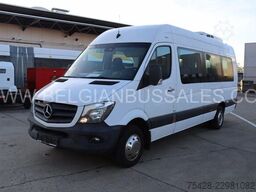 Mercedes-Benz Sprinter 516 CDi / Transfer 45 / Retarder / 7,4m