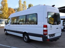 Mercedes-Benz Sprinter 516 CDi / Transfer 45 / Retarder / 7,4m