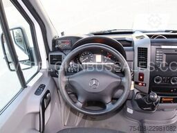 Mercedes-Benz Sprinter 516 CDi / Transfer 45 / Retarder / 7,4m