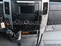 Mercedes-Benz Sprinter 516 CDi / Transfer 45 / Retarder / 7,4m